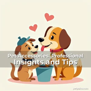 Artistic representation for Pet Accessories: Professional Insights and Tips