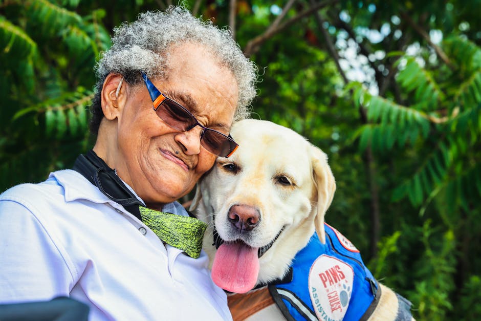 Read more about the article The Complete Guide to Senior Pet Care