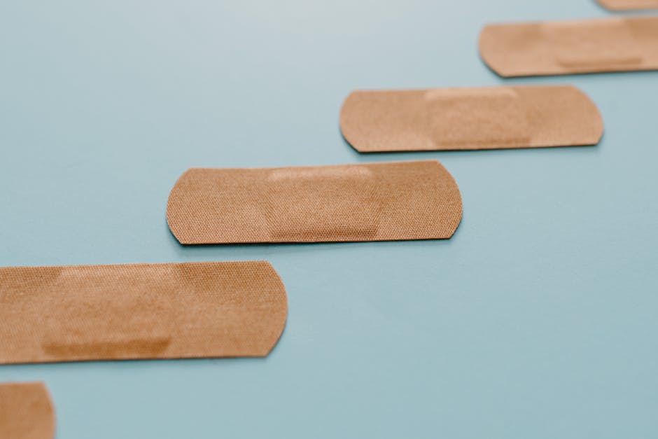 Read more about the article Why Simplicity Wins in Pet First Aid