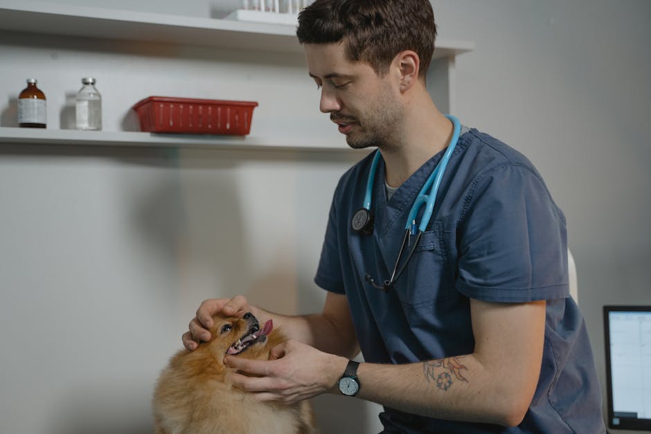 Read more about the article Finding Your Personal Style in Veterinary Preventive Care