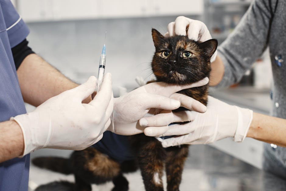 Read more about the article Veterinary Preventive Care Fundamentals That Stand the Test of Time
