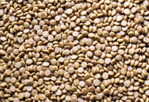 Read more about the article The Art and Science of Pet Nutrition Planning